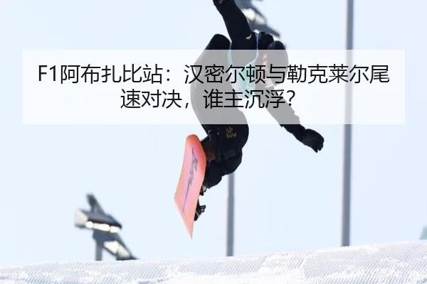 a-bu-zha-bi-zhan-han-mi-er-dun-yu-lei-ke-lai-er-wei-su-dui-jue-shui-zhu-chen-fu-2-589.jpg